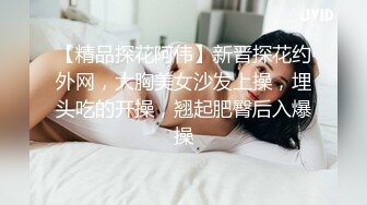 【精品探花阿伟】新晋探花约外网，大胸美女沙发上操，埋头吃的开操，翘起肥臀后入爆操