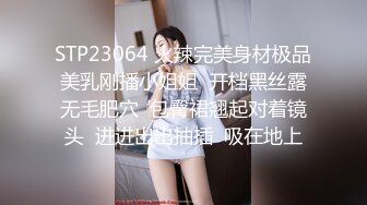 STP23064 火辣完美身材极品美乳刚播小姐姐  开档黑丝露无毛肥穴  包臀裙翘起对着镜头  进进出出抽插  吸在地上