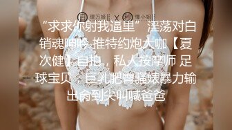 女友小骚穴