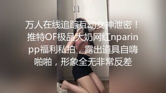 新南王破雏高颜值锡纸烫奶狗鲜肉奴上集