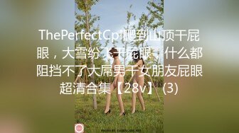 ThePerfectCpl爬到山顶干屁眼，大雪纷飞干屁眼，什么都阻挡不了大屌男干女朋友屁眼超清合集【28v】 (3)