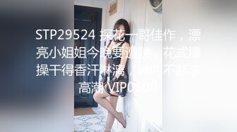 STP29524 探花一哥佳作，漂亮小姐姐今晚要遭殃，花式爆操干得香汗淋漓，呻吟不断求高潮 VIP0600