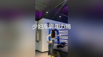 少妇车震用力捅