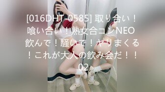 [016DHT-0585] 取り合い！喰い合い！熟女合コンNEO 飲んで！騒いで！ヤリまくる！これが大人の飲み会だ！！ 02