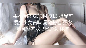 高价约极品美腿靓女