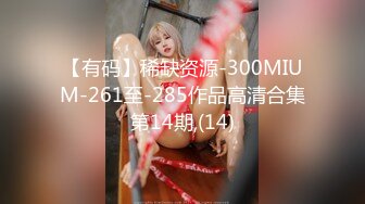 【有码】稀缺资源-300MIUM-261至-285作品高清合集第14期,(14)