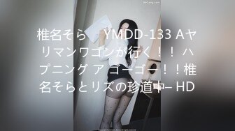 椎名そら ⨯ YMDD-133 Aヤリマンワゴンが行く！！ ハプニング ア ゴーゴー！！椎名そらとリズの珍道中– HD