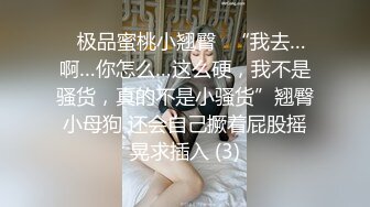 麻豆传媒 MTVQ1 突袭女优家 EP15 节目篇 突袭部队闯空门 林嫣