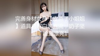 国产麻豆AV MD MD0012 肉感女孩意淫网拍男模自慰高潮