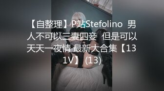 【自整理】P站Stefolino  男人不可以三妻四妾  但是可以天天一夜情 最新大合集【131V】 (13)