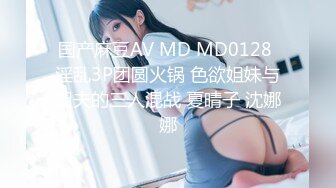 国产麻豆AV MD MD0128 淫乱3P团圆火锅 色欲姐妹与姐夫的三人混战 夏晴子 沈娜娜