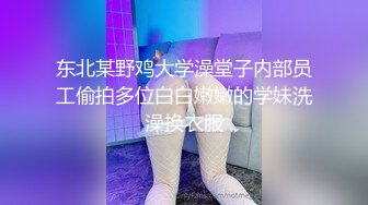 衬衣下面隐藏的不仅仅是一对美乳 还有一个 闷骚的内心