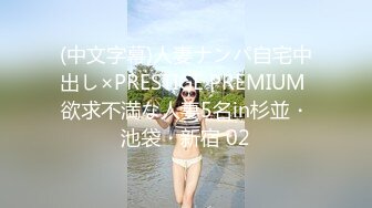 (中文字幕)人妻ナンパ自宅中出し×PRESTIGE PREMIUM 欲求不満な人妻5名in杉並・池袋・新宿 02