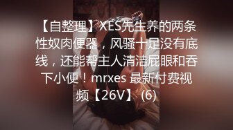 【自整理】XES先生养的两条性奴肉便器，风骚十足没有底线，还能帮主人清洁屁眼和吞下小便！mrxes 最新付费视频【26V】 (6)