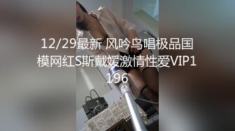 12/29最新 风吟鸟唱极品国模网红S斯戴媛激情性爱VIP1196