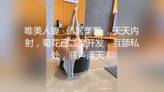 ⚫️⚫️⚫️在91制片厂下马的日本极品女优【高梨遥香】之名媛千金艳遇记，香艳至极，中文字幕91CM-233