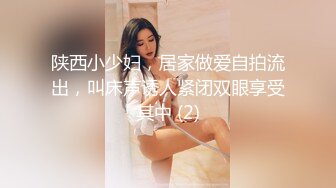 陕西小少妇，居家做爱自拍流出，叫床声诱人紧闭双眼享受其中 (2)