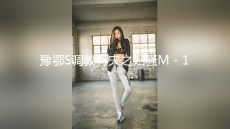 豫鄂S调教有夫之妇骚M－1