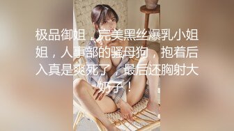 极品御姐，完美黑丝爆乳小姐姐，人事部的骚母狗，抱着后入真是爽死了，最后还胸射大奶子！