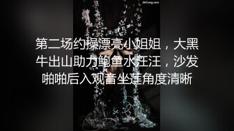 第二场约操漂亮小姐姐，大黑牛出山助力鲍鱼水汪汪，沙发啪啪后入观音坐莲角度清晰