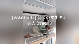 [VAGU-235] 麗しのマネキン夫人 総集編3