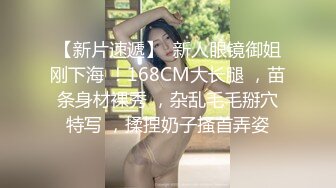 Al&mdash;刘亦菲女仆自慰