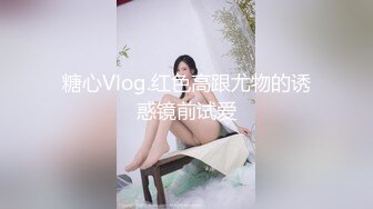 糖心Vlog.红色高跟尤物的诱惑镜前试爱