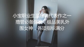 小宝职业生涯经典代表作之一 撸管必备强推，极品美乳外围女神，各项指标满分