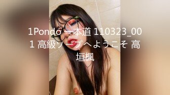 1Pondo 一本道 110323_001 高級ソープへようこそ 高垣楓