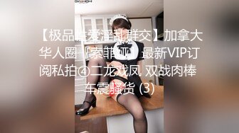 【极品性爱淫乱群交】加拿大华人圈『索菲娅』最新VIP订阅私拍④二龙戏凤 双战肉棒 车震骚货 (3)