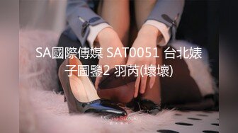 SA國際傳媒 SAT0051 台北婊子圖鑒2 羽芮(壞壞)