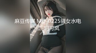 麻豆传媒 MD-0225骚女水电工-玥可岚