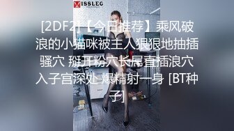 [2DF2]【今日推荐】乘风破浪的小猫咪被主人狠狠地抽插骚穴 掰开粉穴长屌直插浪穴入子宫深处 爆精射一身 [BT种子]