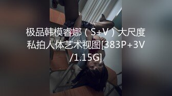 极品韩模睿娜（S+V）大尺度私拍人体艺术视图[383P+3V/1.15G]