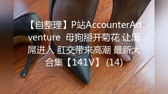 【自整理】P站AccounterAdventure  母狗掰开菊花 让黑屌进入 肛交带来高潮 最新大合集【141V】 (14)