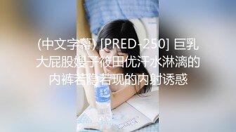 (中文字幕) [PRED-250] 巨乳大屁股嫂子筱田优汗水淋漓的内裤若隐若现的内射诱惑