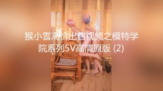 麻豆狗仔 MDWP-0023《 淫行会议室》下班后的瘙痒难耐