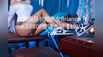 欧美极品长腿熟女Brianna Rose.1080P整理合集【19V】 (4)