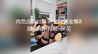 肉色油亮丝袜熟女阿姨全集8部-淫语-打桩-探花