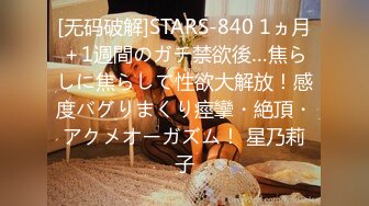 [无码破解]STARS-840 1ヵ月＋1週間のガチ禁欲後…焦らしに焦らして性欲大解放！感度バグりまくり痙攣・絶頂・アクメオーガズム！ 星乃莉子