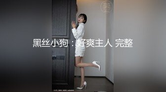 黑丝小狗：好爽主人 完整