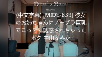 (中文字幕) [MIDE-839] 彼女のお姉ちゃんにノーブラ巨乳でこっそり誘惑されちゃったボク 中山ふみか