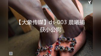 【大象传媒】ds-003 晨曦捕获小公狗