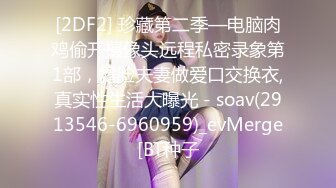 [2DF2] 珍藏第二季—电脑肉鸡偷开摄像头远程私密录象第1部，露脸夫妻做爱口交换衣,真实性生活大曝光 - soav(2913546-6960959)_evMerge[BT种子