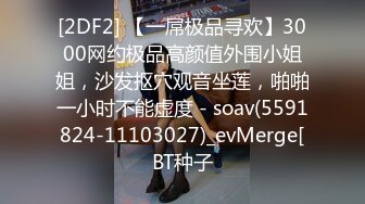 [2DF2] 【一屌极品寻欢】3000网约极品高颜值外围小姐姐，沙发抠穴观音坐莲，啪啪一小时不能虚度 - soav(5591824-11103027)_evMerge[BT种子